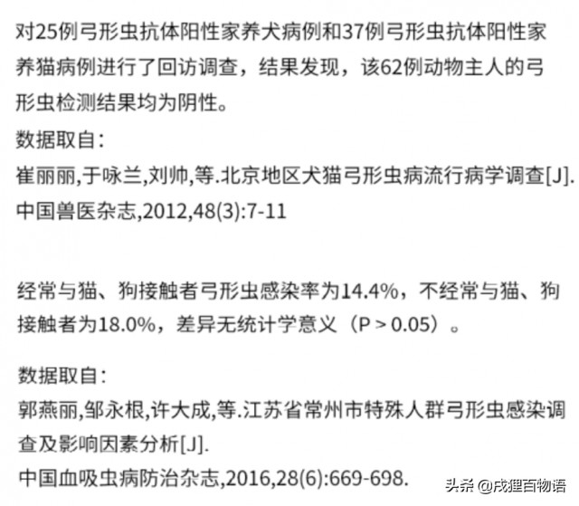 怀孕了可以养宠物吗这些数据揭秘答案